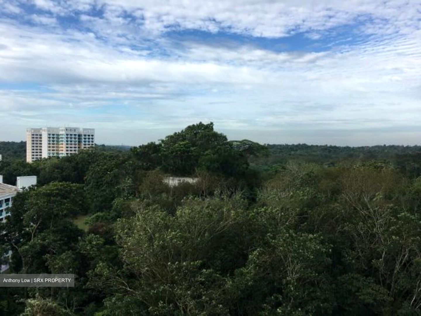 Eco Sanctuary (D23), Condominium #468839321